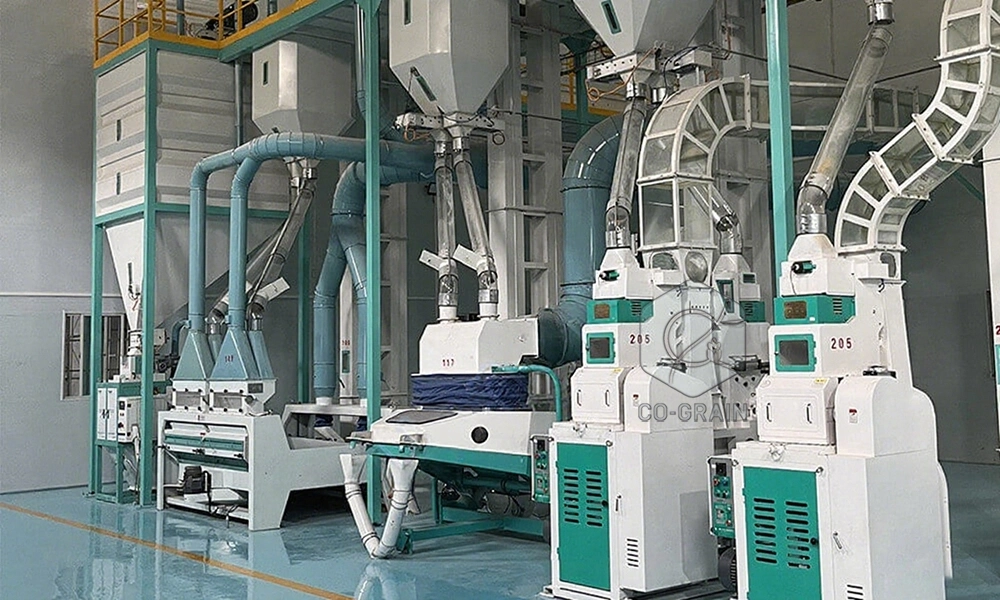 300t_rice_mill_plants (3)