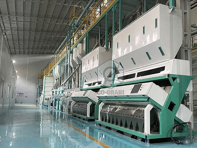 https://www.hongjiaricemill.com/wp-content/uploads/2022/03/300ton_complete_rice_mill-1.webp?utm_source=chatgpt.com
