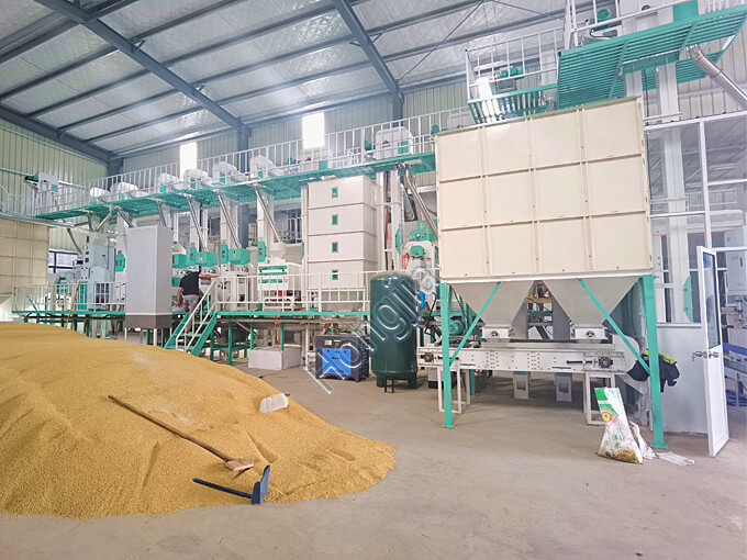https://www.hongjiaricemill.com/wp-content/uploads/2022/03/40t-complete-rice-mill-plants-supplier.jpg
