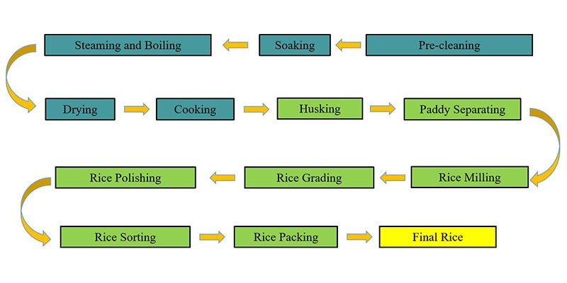 rice_parboiling_machine_processing_process