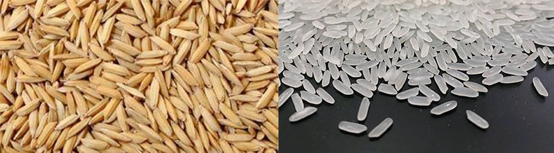rice_mill_process-2