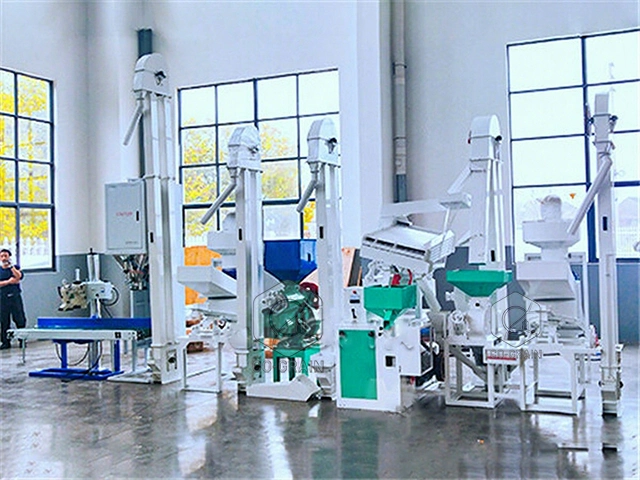 15t_rice_mill_cote_dlvoire (1)