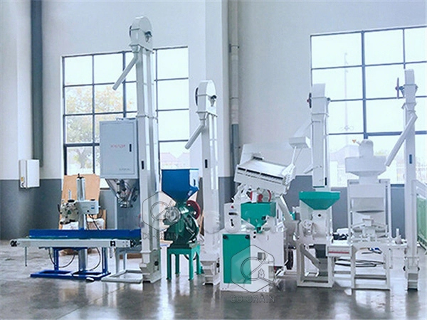 15t_rice_mill_cote_dlvoire (2)