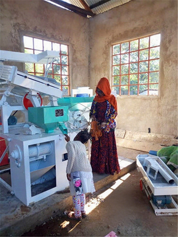 15ton_rice_mill_tanzania (2)