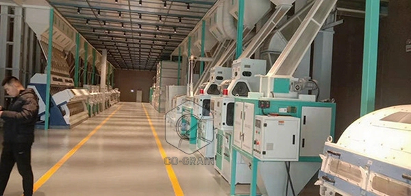 how_to_start_a_rice_mill_business (3)
