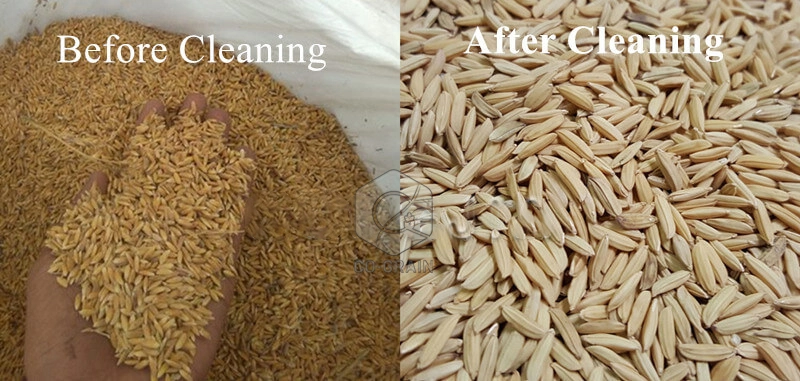 paddy_cleaning_machines_cost
