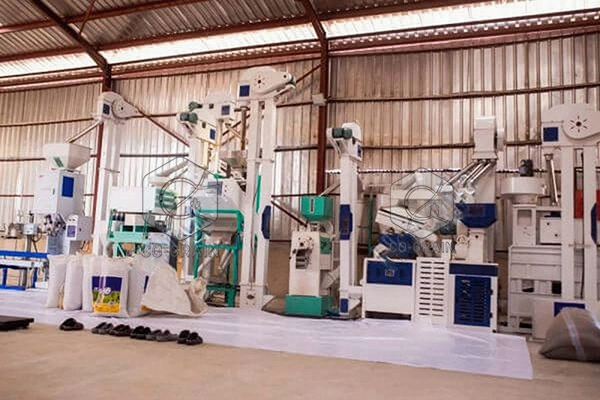 rice_business_in_nigeria (1)