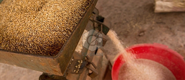 rice_business_in_nigeria (2)