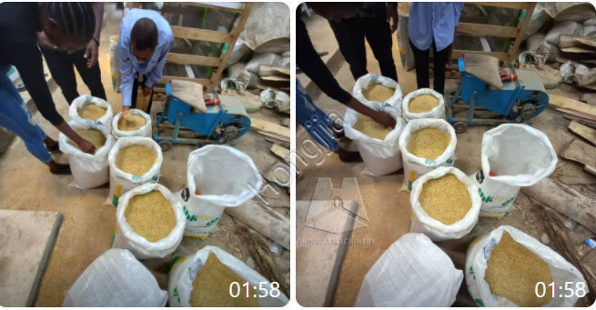 rice_color_sorter_manufacturer