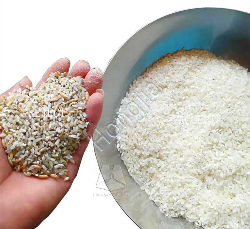 rice_color_sorter_supplier