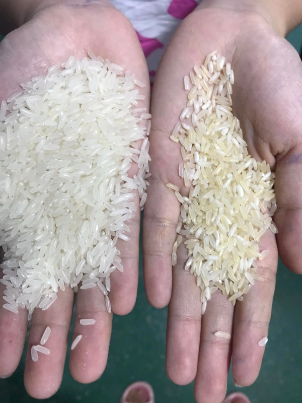 rice_mills_equipments (7)