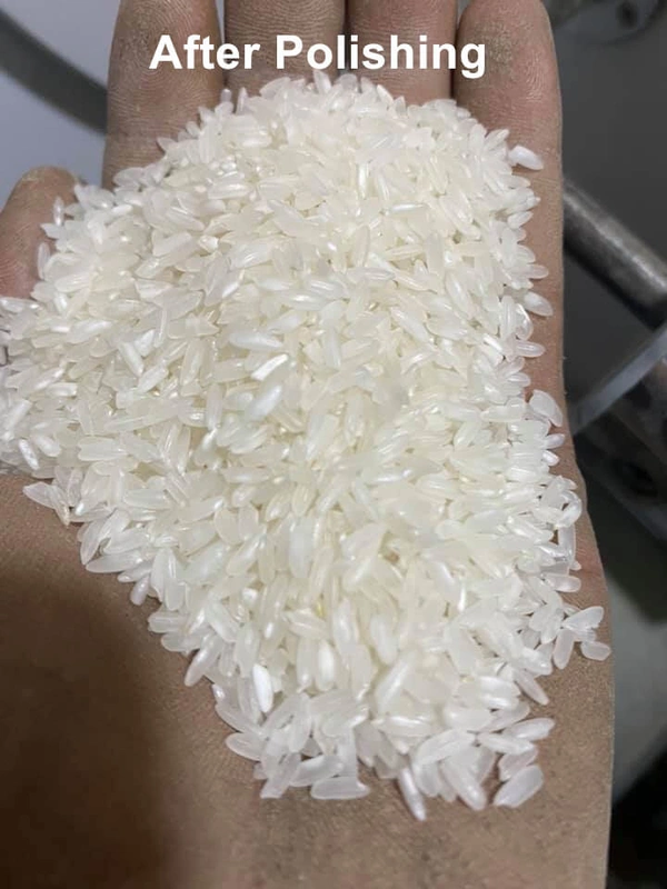 rice_polishier_in_rice_mill-1