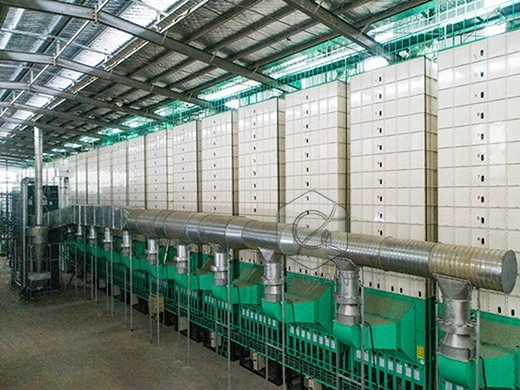 grain_dryer_supplier
