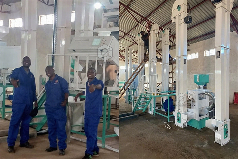 30t_rice_mill_in_malawian (1)