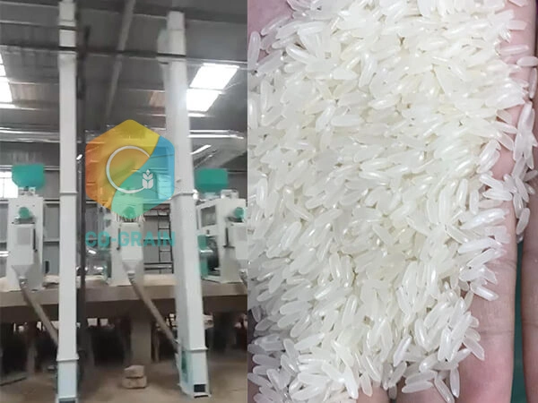 60t_rice_mill_in_kenya 1