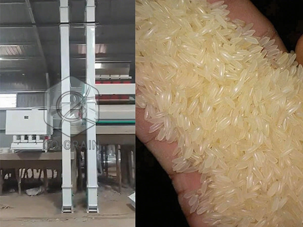 60t_rice_mill_in_kenya 5