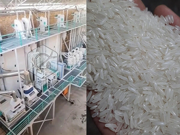80t_per_day_rice_mill_machine_in_Uzbekistan 2