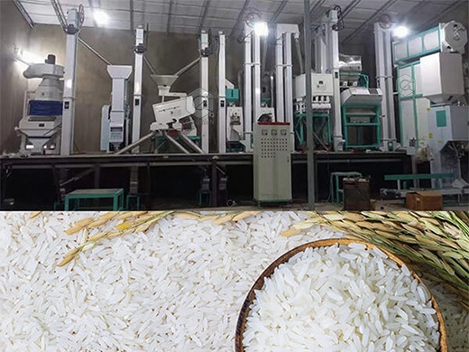 Rice_milling_machine_in_Uzbekistan (3)