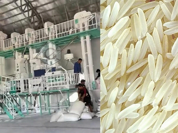 60t_rice_mill_in_philippines 1