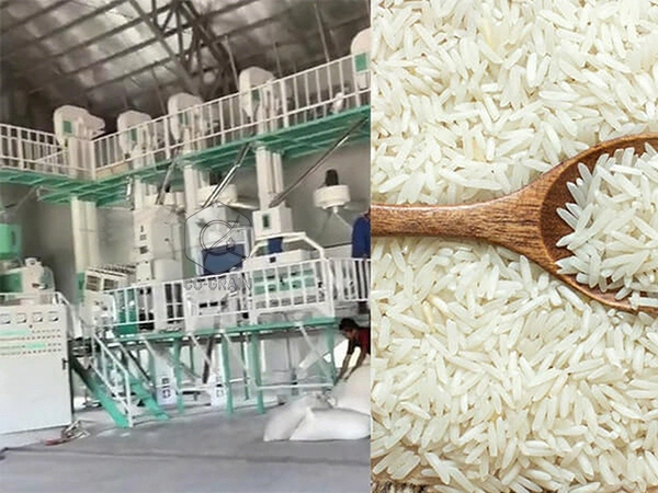 60t_rice_mill_in_philippines 2