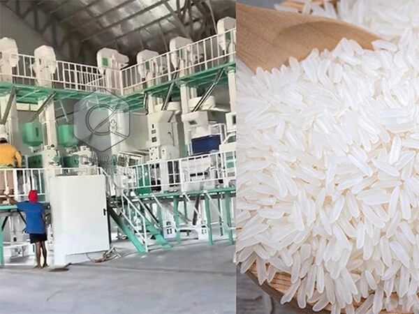 60t_rice_mill_in_philippines