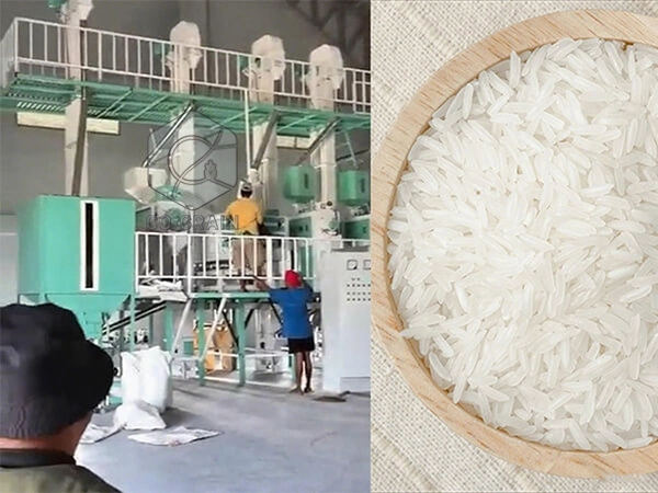 60t_rice_mill_in_philippines 4