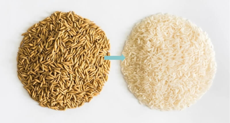 
60t_rice_mill_in_uganda-8