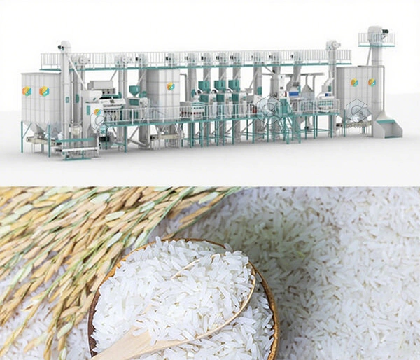 60t_rice_mill_in_uganda