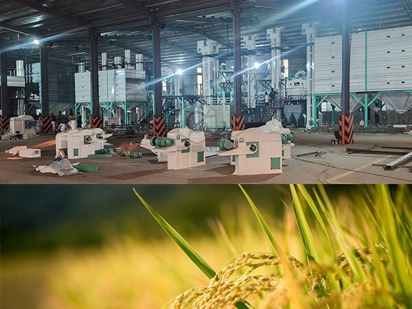 150ton_per_day_Rice_Milling_Line_Successfully_Installed_in_Myanmar 1