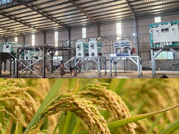 150ton_per_day_Rice_Milling_Line_Successfully_Installed_in_Myanmar 2