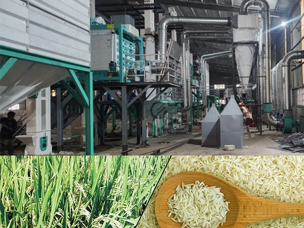 150ton_per_day_Rice_Milling_Line_Successfully_Installed_in_Myanmar 6