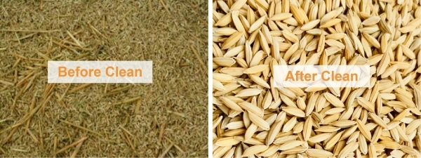 paddy_cylinder_pre_cleaner_cost