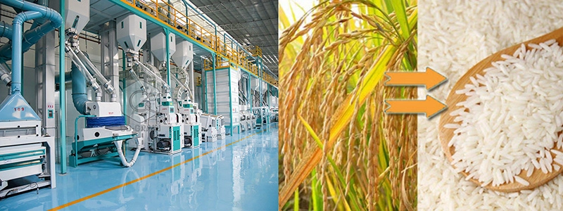 complete_rice_mill_plant_solution 3