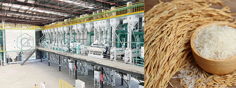 complete_rice_processing_machine