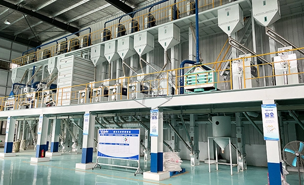 parboiled_rice_production_process 3