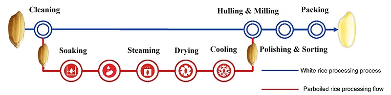 parboiled_rice_production_process 5