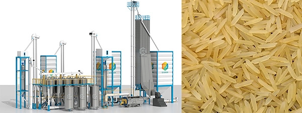 parboiled_rice_production_process 6