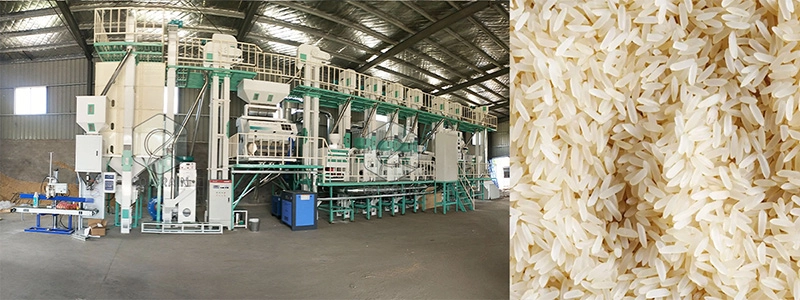 rice_milling_equipment 5