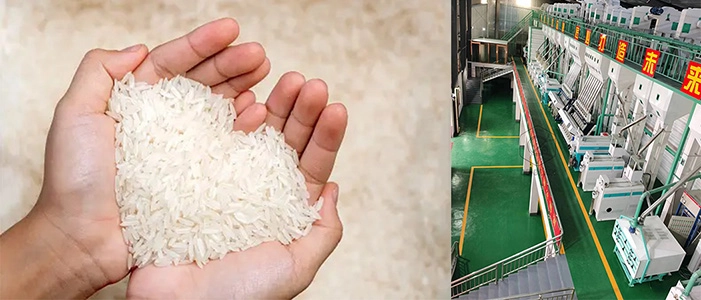 rice_milling_equipment