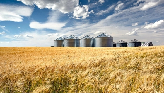 Integrated grain engineering system