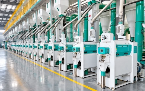 Rice milling process and equipment