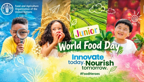 World Food Day grain engineering